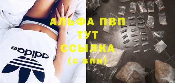 прущий лед Аркадак