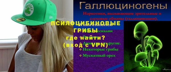 прущий лед Аркадак