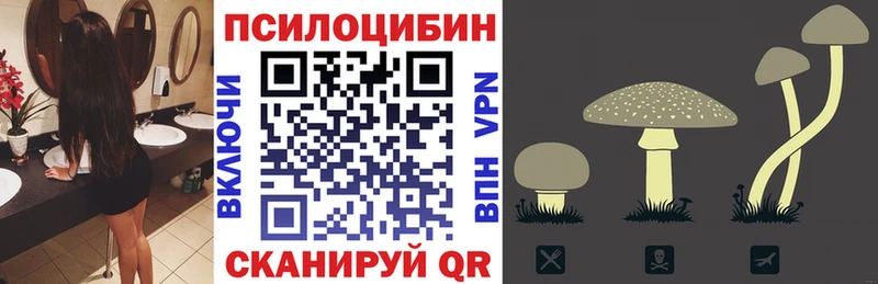 Галлюциногенные грибы MAGIC MUSHROOMS  Волгоград 